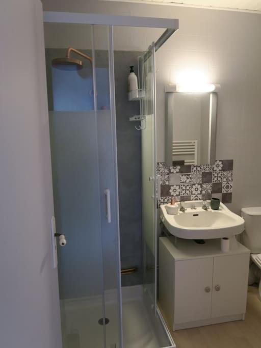 Appartement Des Hirondelles , Au Pied Du Chateau Chinon Exterior foto